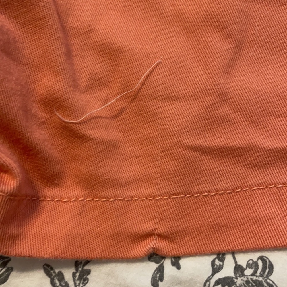 Volcom Short Size 29 🍊 - Picture 8 of 9